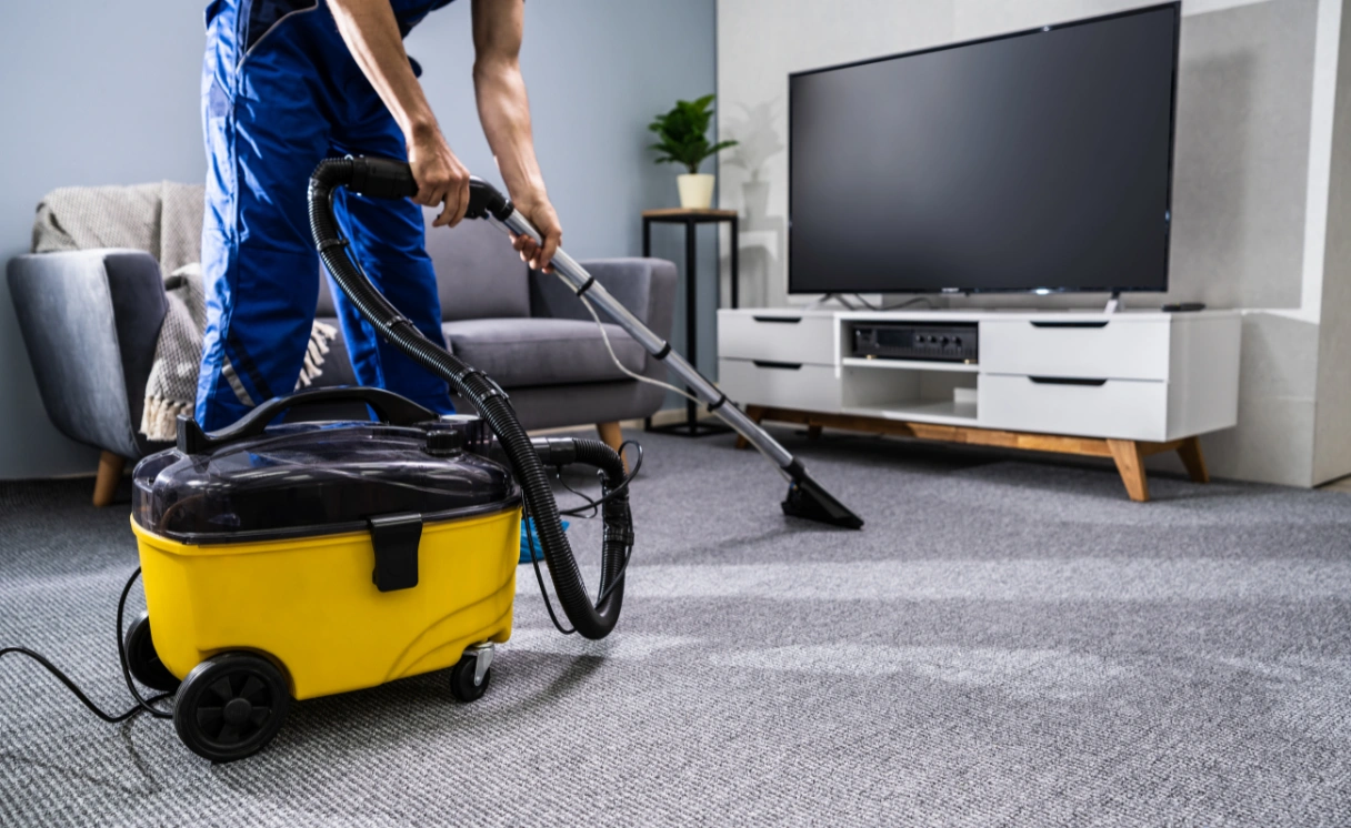 Extract Upholstery Cleaning Beaumaris Contact Office